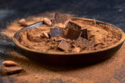 Composition of cocoa products. Stock Photos