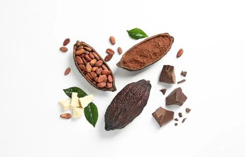 Composition with cocoa products on white background, top view Foto stock