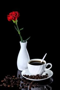 Composition of coffee and red carnation on a black reflective background Stock Photos