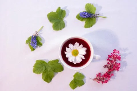 Composition of coffee, chrysanthemums and currant flowers Stock Photos