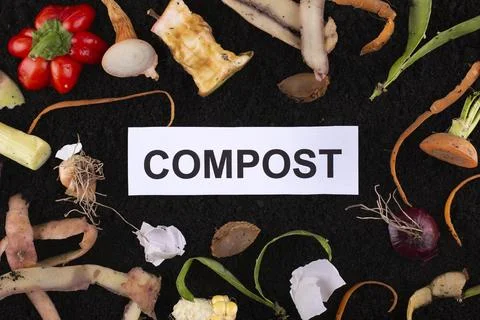 Composition compost made rotten vegetables Stock Photos