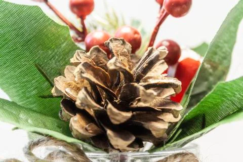 Composition of cones and berries close-up Foto stock