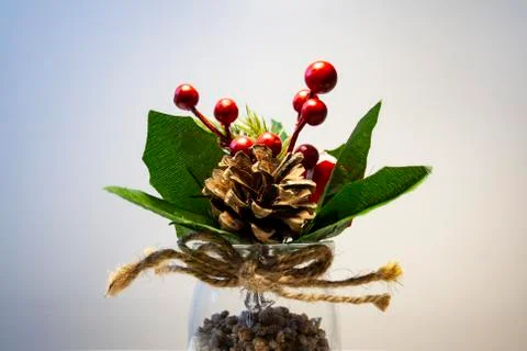 Composition of cones and berries in the middle plan Foto stock
