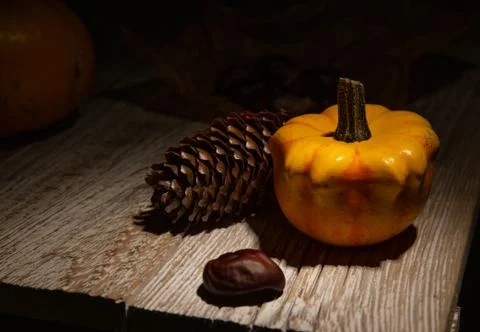 Composition of cones, pumpkins and chestnuts that stand on wooden table Stock Photos