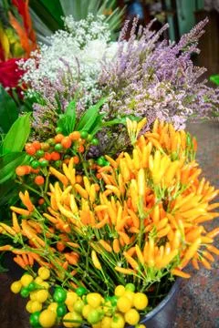 Composition consisting of small colored peppers. Stock Photos