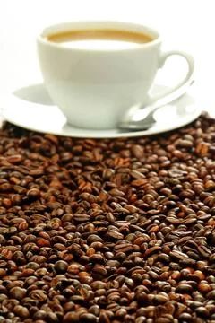 Composition with cup and coffee beans Composition with cup and coffee bean... Stock-Fotos