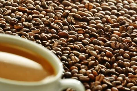Composition with cup and coffee beans Composition with cup and coffee bean... Stock Photos