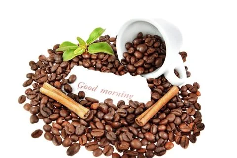 Composition of a cup of coffee, cinnamon, and plants. Stock Photos