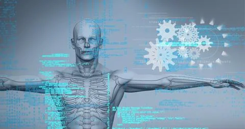 Composition of data processing with cogs over human digital model Stock Illustration