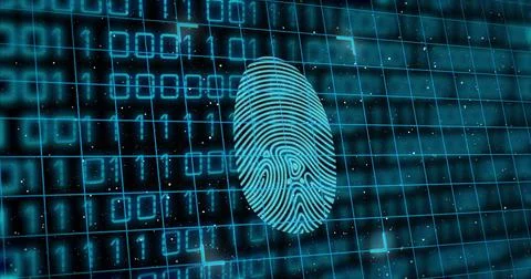 Composition of data processing over fingerprint Ilustração Stock