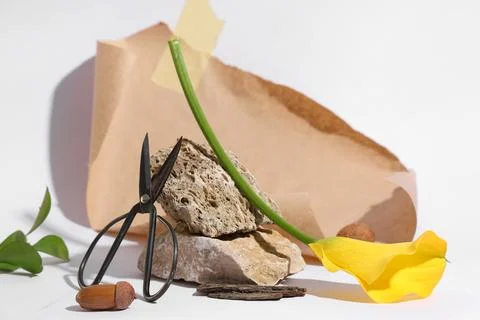Composition with decorative stones, scissors and beautiful calla flower on wh Stock Photos