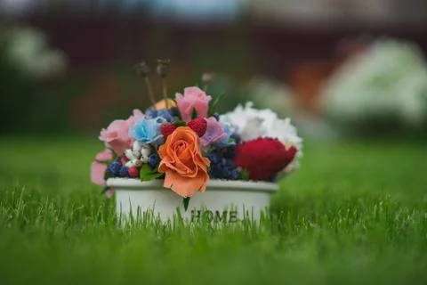 Composition of different flowers in a pot Stock Photos