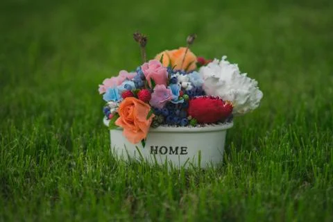 Composition of different flowers in a pot 스톡 사진