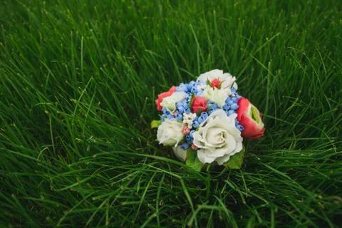 Composition of different flowers in a pot Stock Photos
