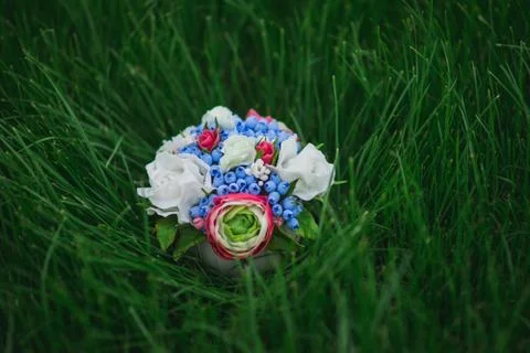 Composition of different flowers in a pot Stock Photos