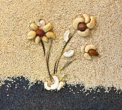 Composition from different nuts Stock Photos