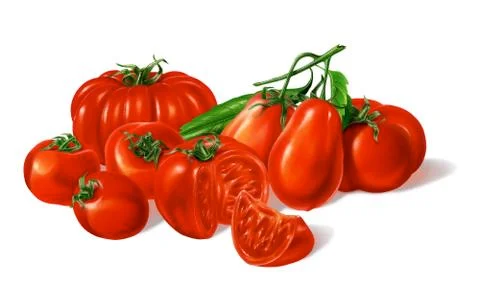 Composition of Different red Tomatoes types grouped. Airbrush illustration. Stock Illustration