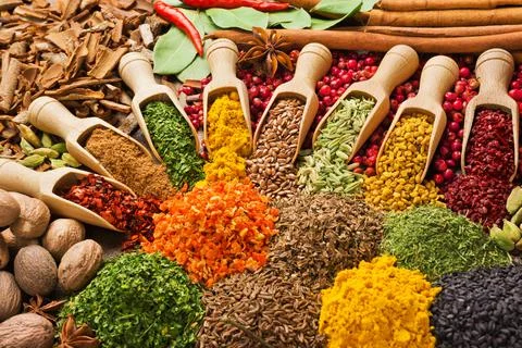 Composition with different spices and herbs Stock Photos