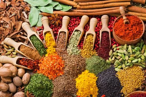 Composition with different spices and herbs Foto stock