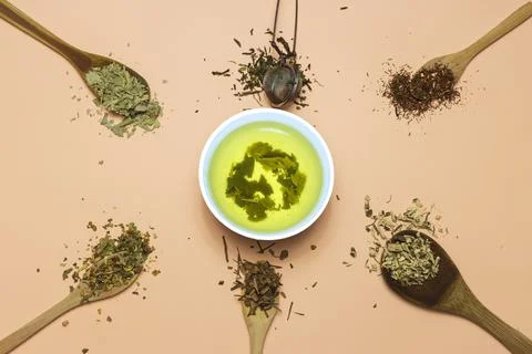 Composition with different types of plants for infusions Stock Photos