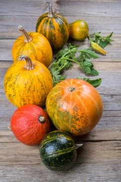 Composition of a different varieties and colors of pumpkins on on rustic wood Stock Photos