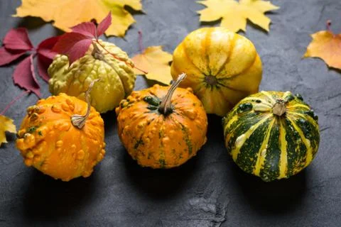 Composition of a different varieties of mini pumpkins Stock-Fotos