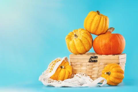 Composition of different varieties of pumpkins.Various of pumpkins in a basket Stock Illustration