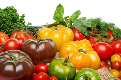 Composition of different varieties of tomatoes and herbs on a burlap Stock-Fotos