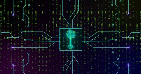 Composition of digital tree and light trails over binary coding on black イラスト素材