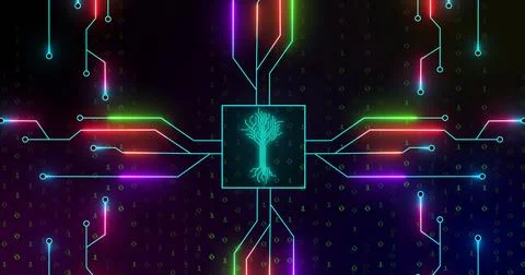 Composition of digital tree and light trails over binary coding on black イラスト素材