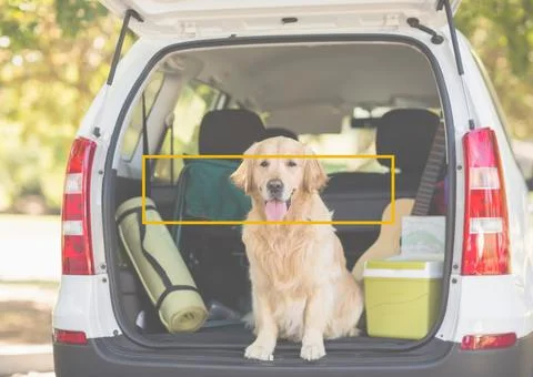 Composition of dog sitting in open boot of car with yellow outline rectangle Stock Photos