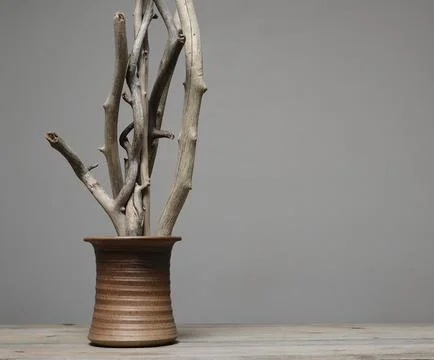 Composition of dry tree branches in a ceramic vase Stock Photos