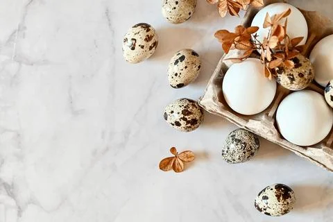 Composition with Easter eggs and branches on wite background.Postcard. Stock Photos