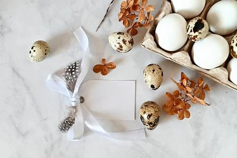 Composition with Easter eggs and branches on wite background.Postcard. Stock Photos