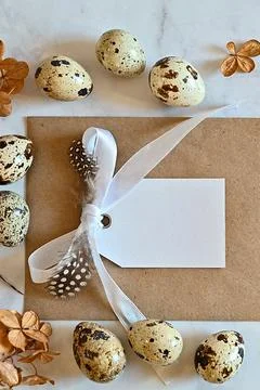 Composition with Easter eggs and branches on wite background.Postcard. Stock Photos