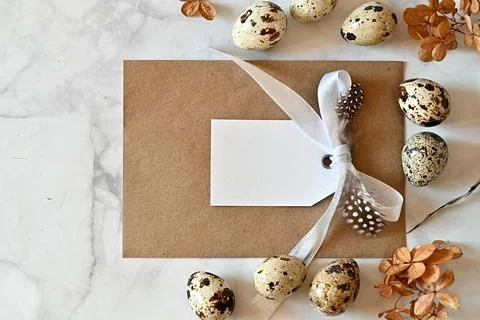 Composition with Easter eggs and branches on wite background.Postcard. Stock Photos