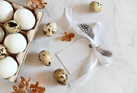 Composition with Easter eggs and branches on wite background.Postcard. Stock Photos