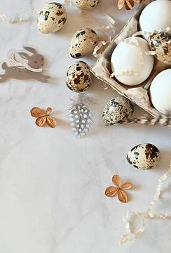 Composition with Easter eggs and branches on wite background.Postcard. Stock Photos