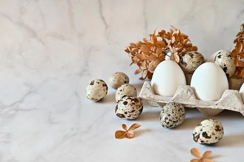 Composition with Easter eggs and branches on wite background.Postcard. Stock Photos