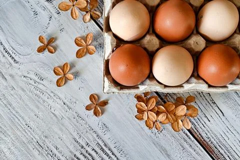 Composition with Easter eggs and branches on wite background.Postcard. Stock Photos
