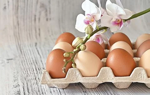 Composition with Easter eggs and branches on wite background.Postcard. Stock Photos