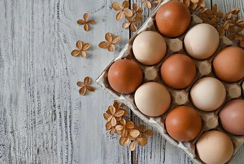 Composition with Easter eggs and branches on wite background.Postcard. Stock Photos