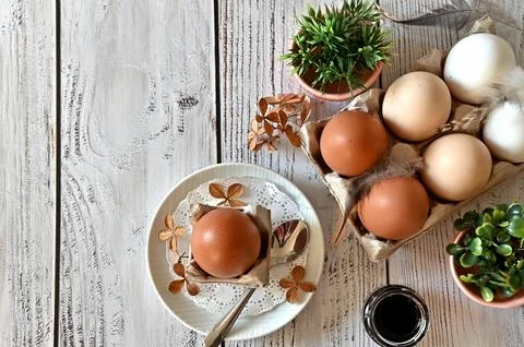 Composition with Easter eggs and branches on wite background.Postcard. Stock Photos