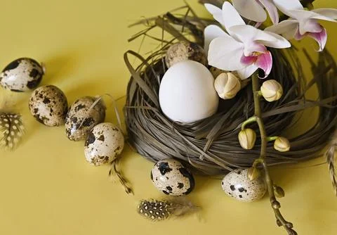Composition with Easter eggs and branches on yellow background.Postcard. Stock Photos