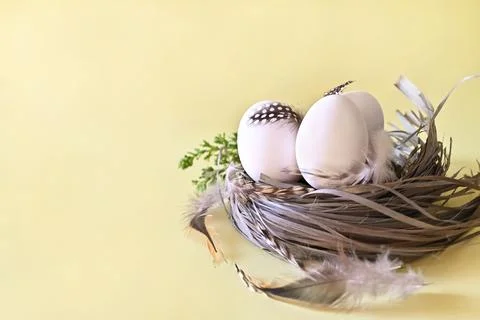 Composition with Easter eggs and branches on yellow background.Postcard. Stock Photos
