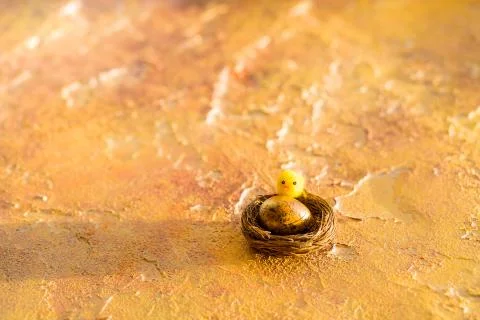 Composition with Easter eggs in nest, on orange background. Easter Egg with copy Stock Photos