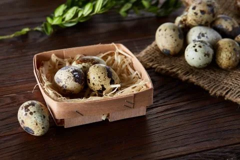 Composition of eggs quail box, eggs on a homespun napkin, boxwood on wooden Stock Photos