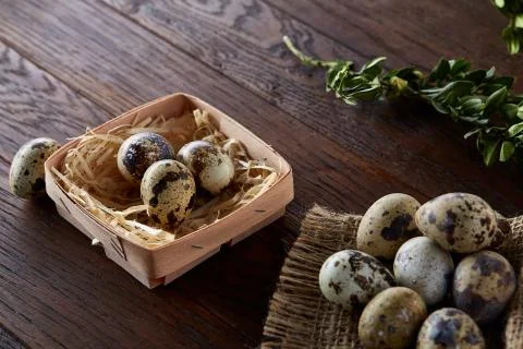 Composition of eggs quail box, eggs on a homespun napkin, boxwood on wooden Stock Photos