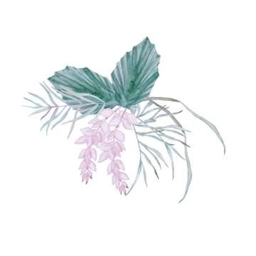 Composition with elements of Australian nature. Isolated on a white background. Stock Illustration