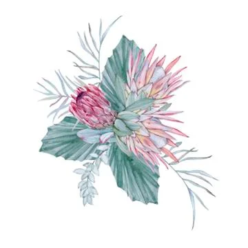 Composition with elements of Australian nature. Isolated on a white background. Stock Illustration